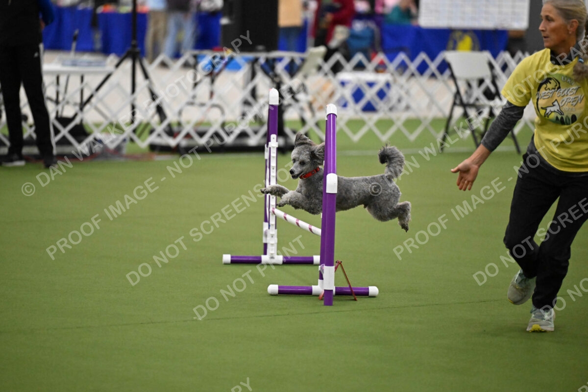 T2B-12-Inch_1306
