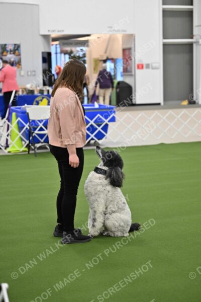 Ring-1-Morning-Obedience_0873