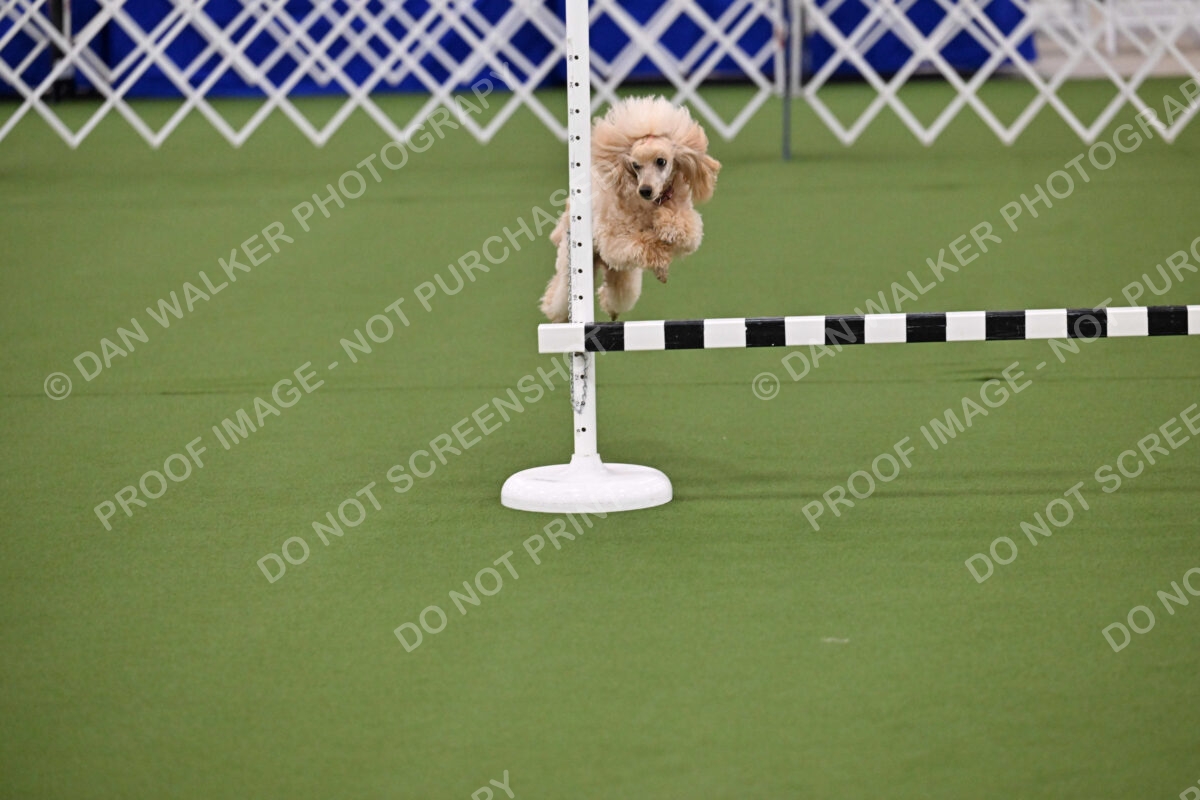 Ring-1-Morning-Obedience_1140