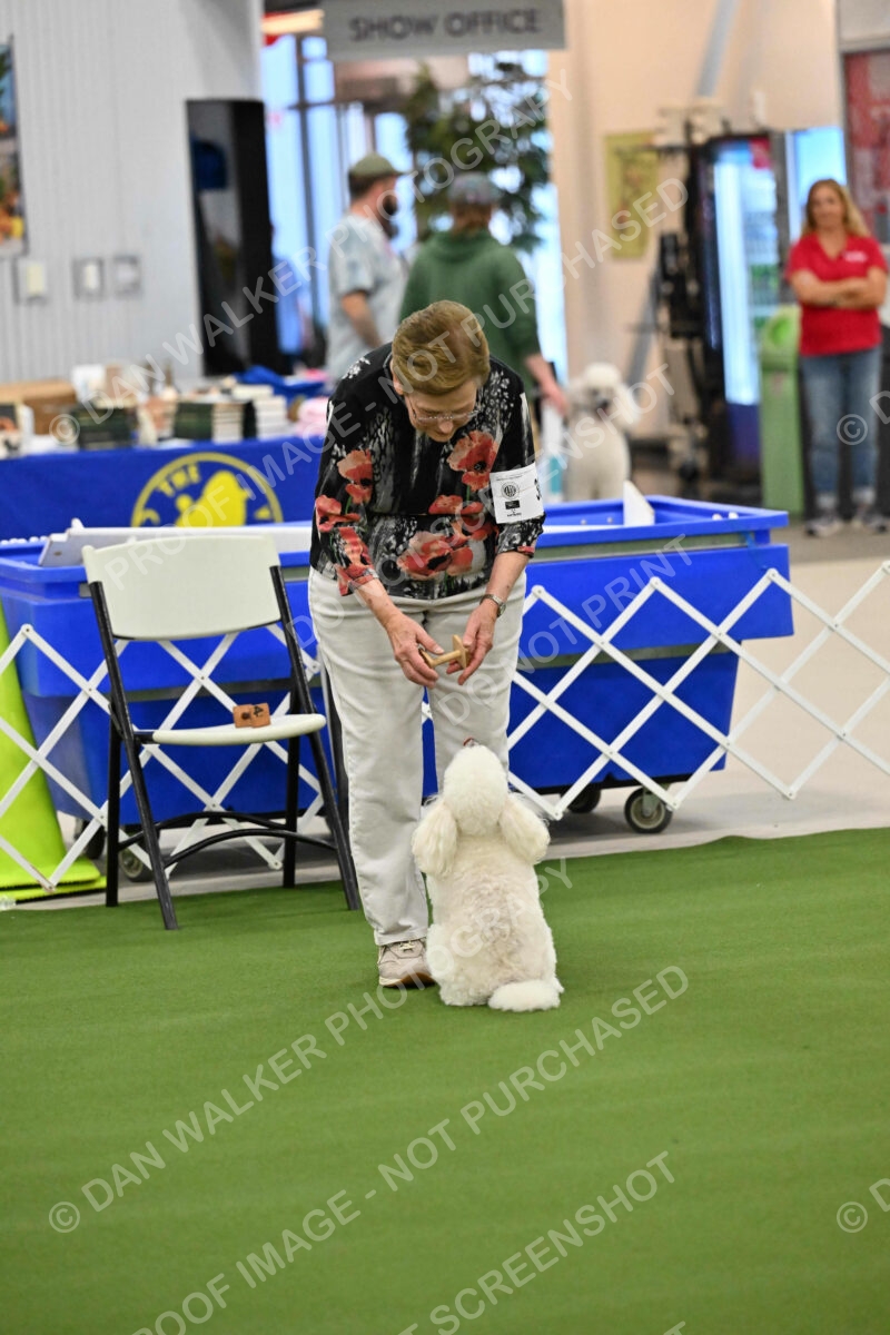 Ring-1-Morning-Obedience_1219