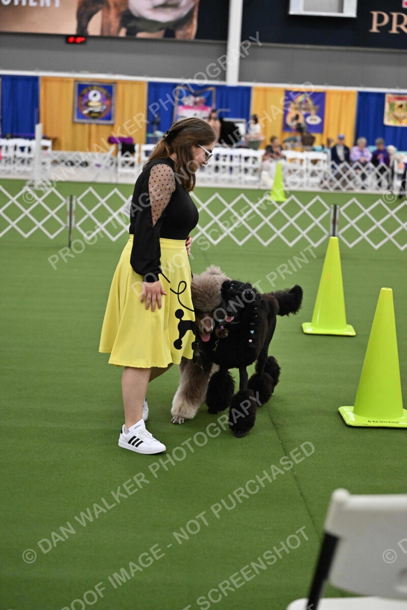 Ring-1-Morning-Obedience_1453