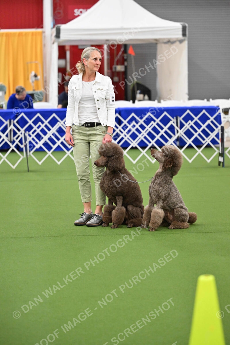 Ring-1-Morning-Obedience_1553