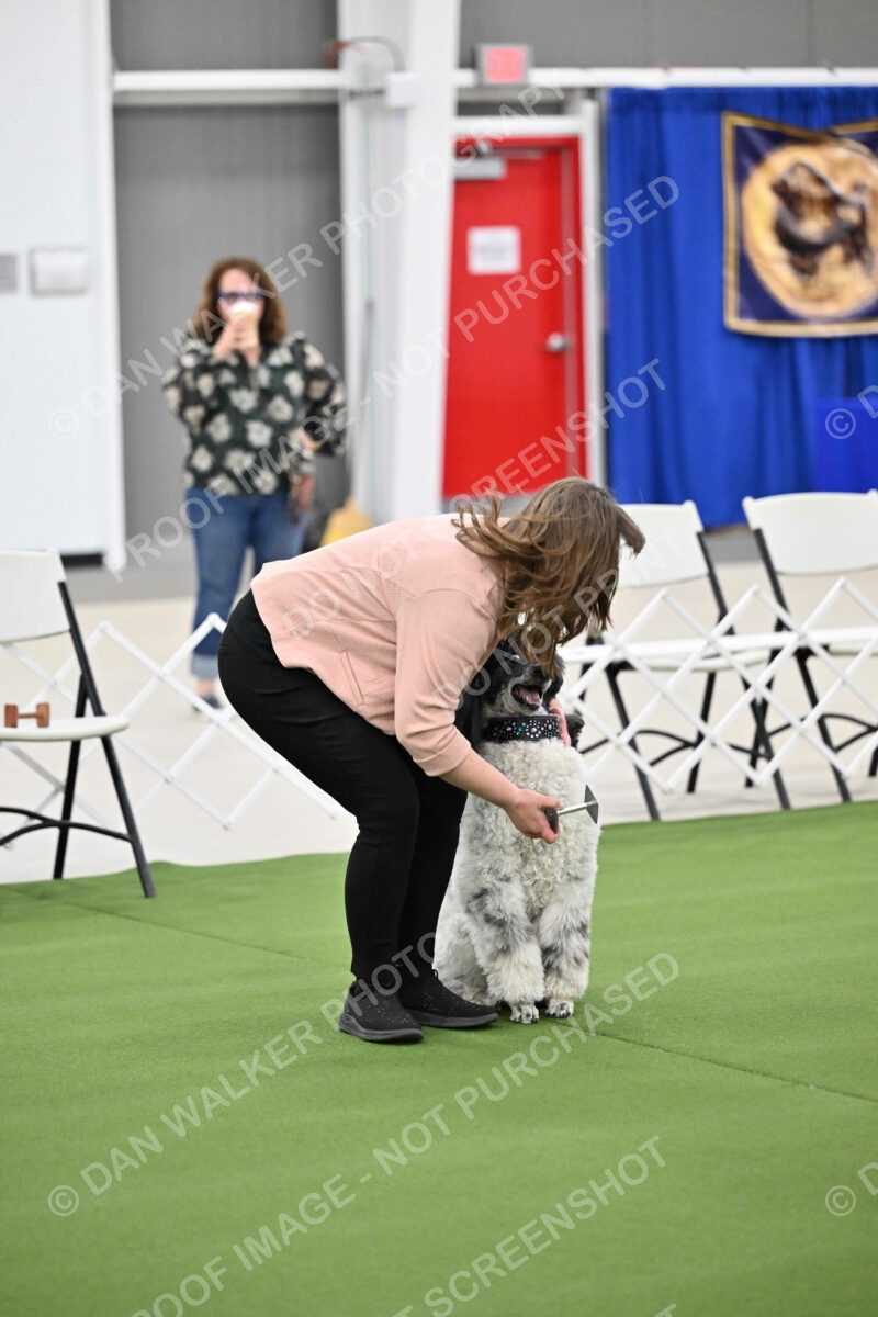 Ring-1-Morning-Obedience_1766