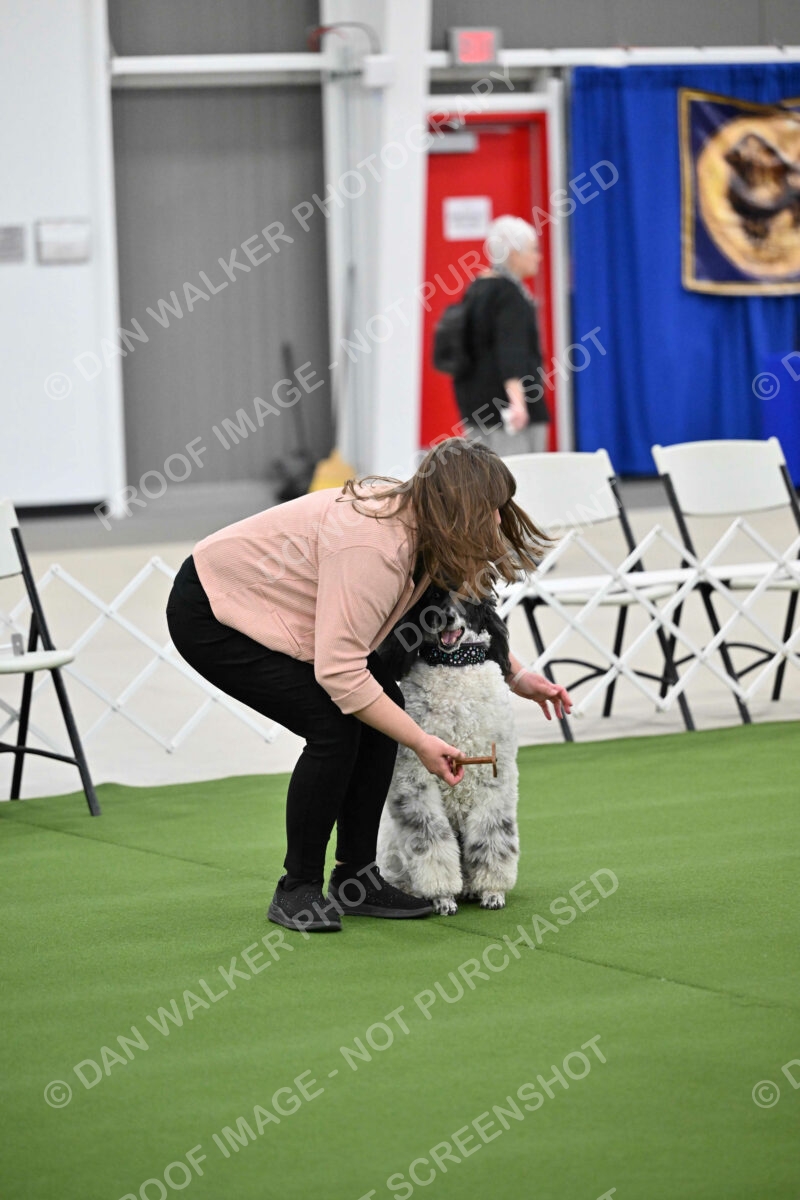 Ring-1-Morning-Obedience_1781