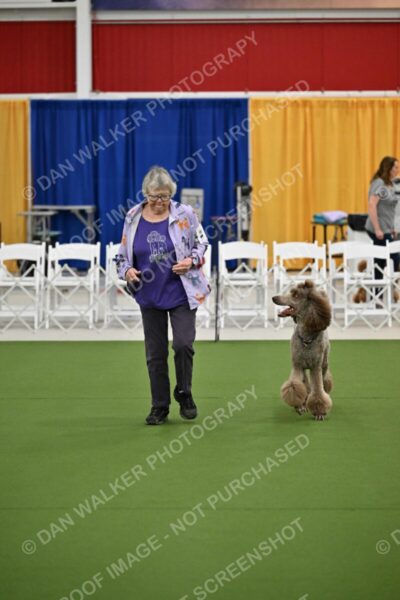 Ring-2-Morning-Obedience_0107