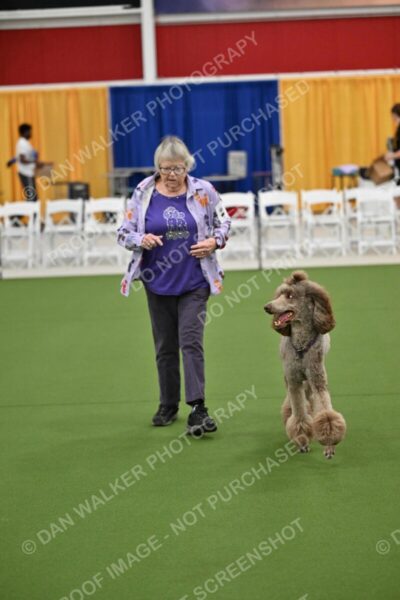 Ring-2-Morning-Obedience_0125