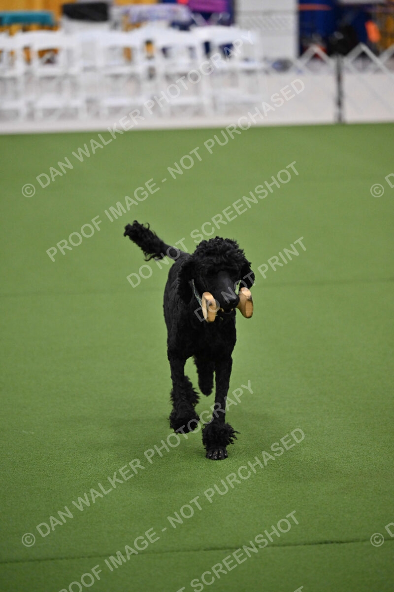 Ring-2-Morning-Obedience_0165