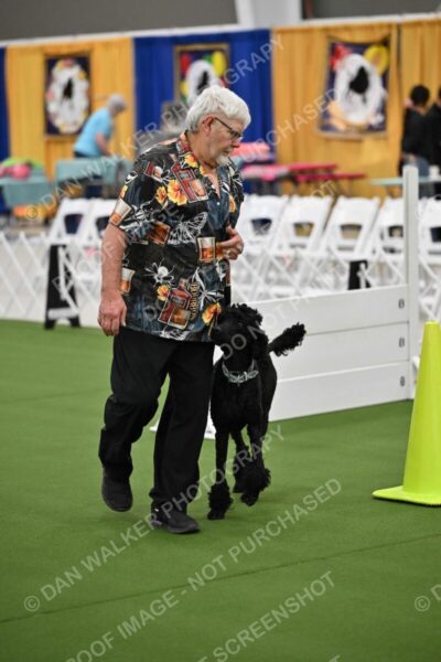 Ring-2-Morning-Obedience_0233