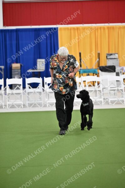 Ring-2-Morning-Obedience_0246