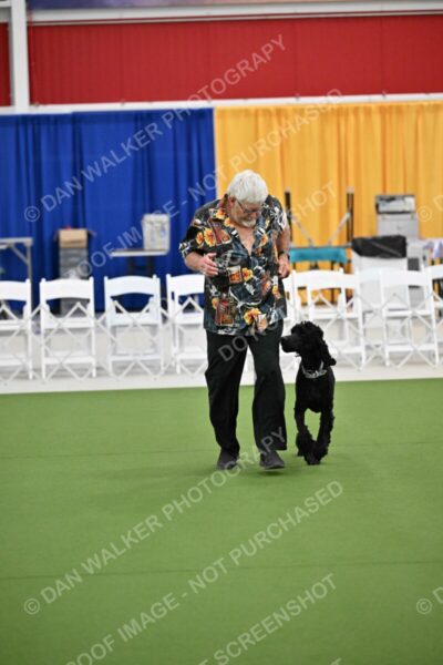 Ring-2-Morning-Obedience_0248