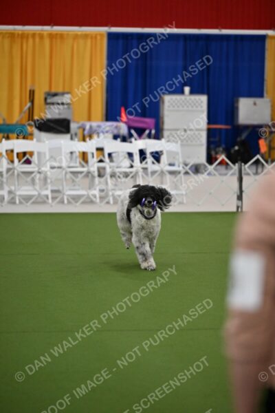 Ring-2-Morning-Obedience_0335