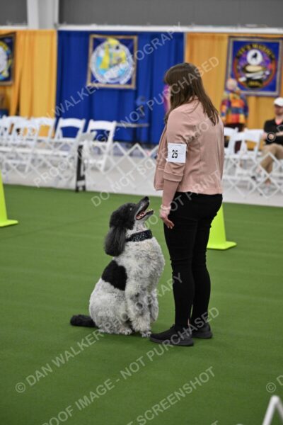 Ring-2-Morning-Obedience_0373