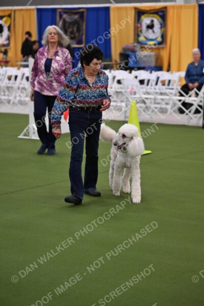 Ring-2-Morning-Obedience_0581