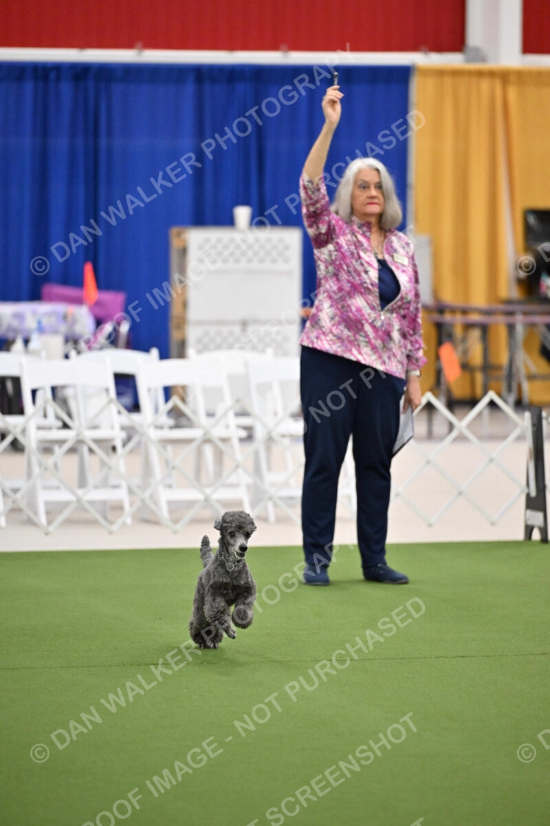 Ring-2-Morning-Obedience_0696