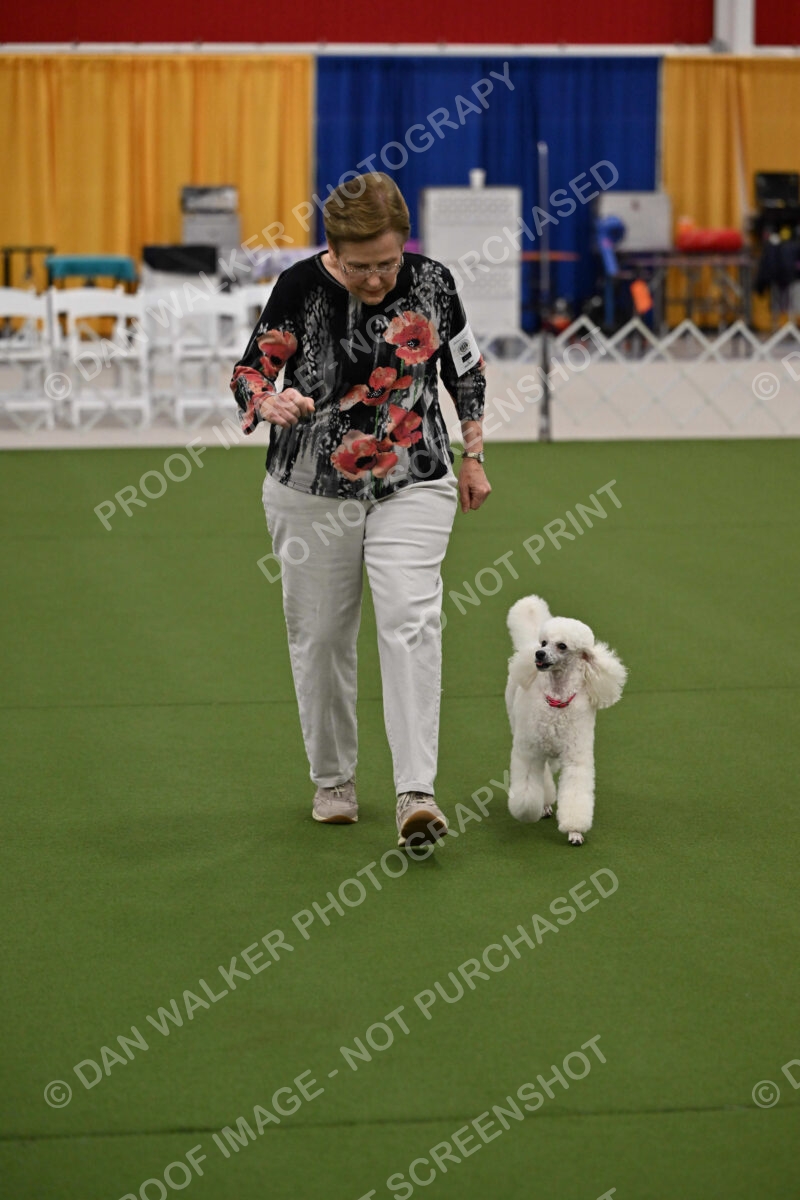 Ring-2-Morning-Obedience_1073