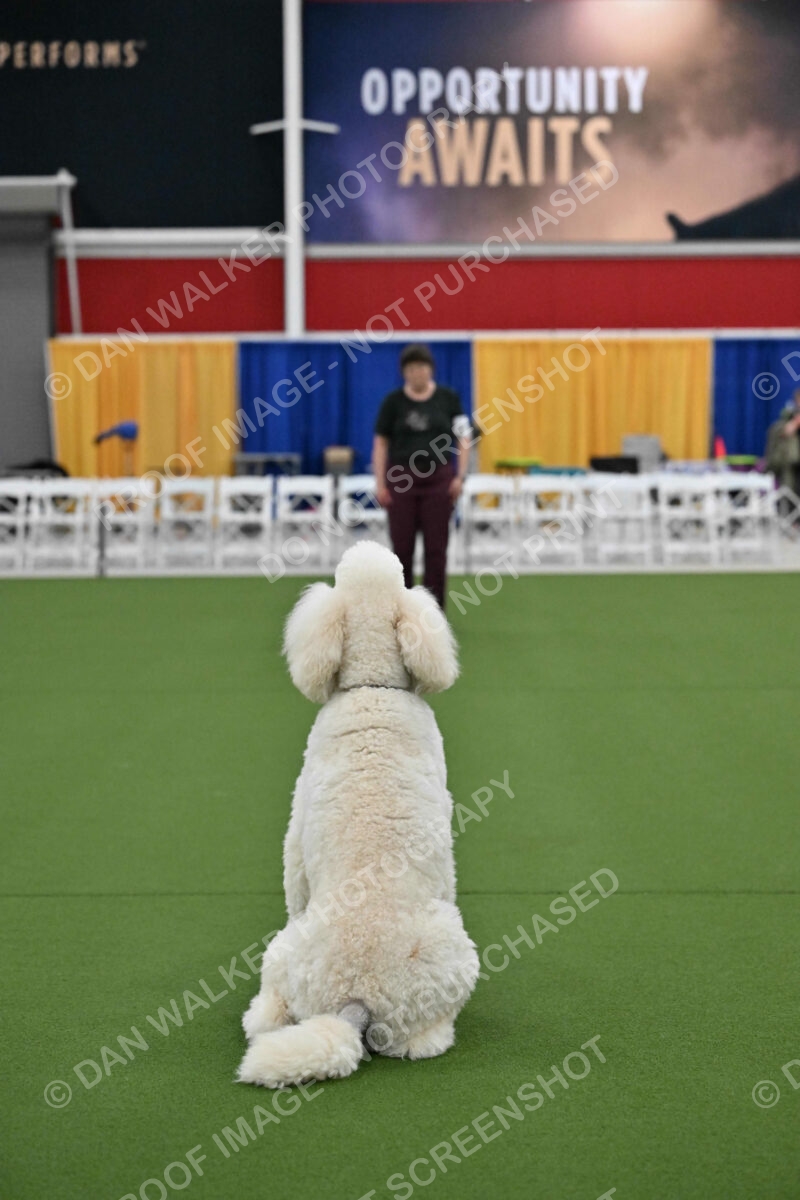 Ring-2-Morning-Obedience_1199