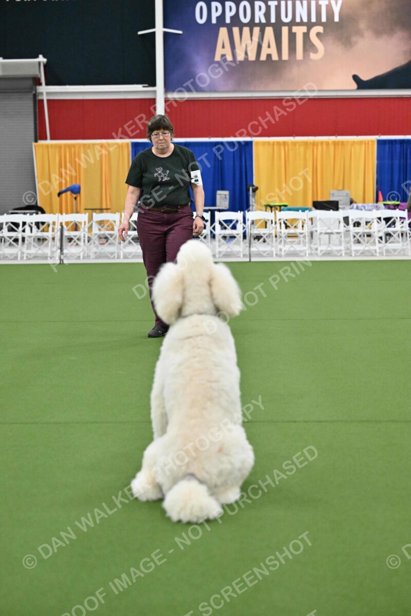 Ring-2-Morning-Obedience_1202