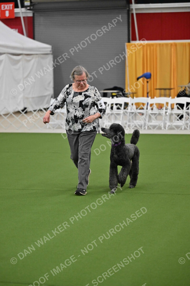 Ring-2-Morning-Obedience_1394