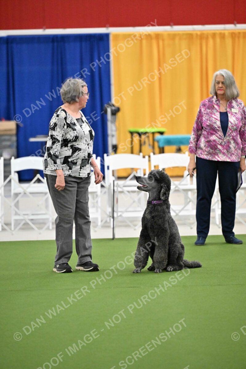 Ring-2-Morning-Obedience_1425