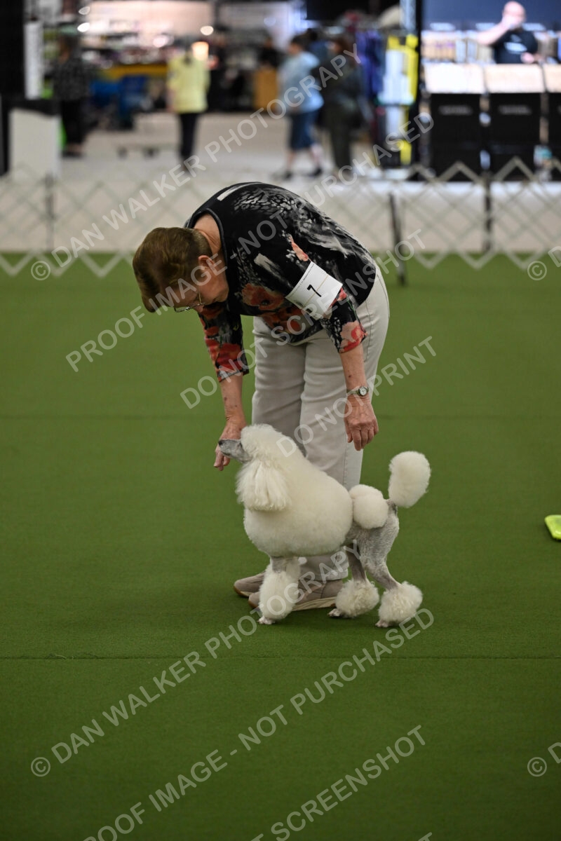 Ring-3-Morning-Obedience_0134