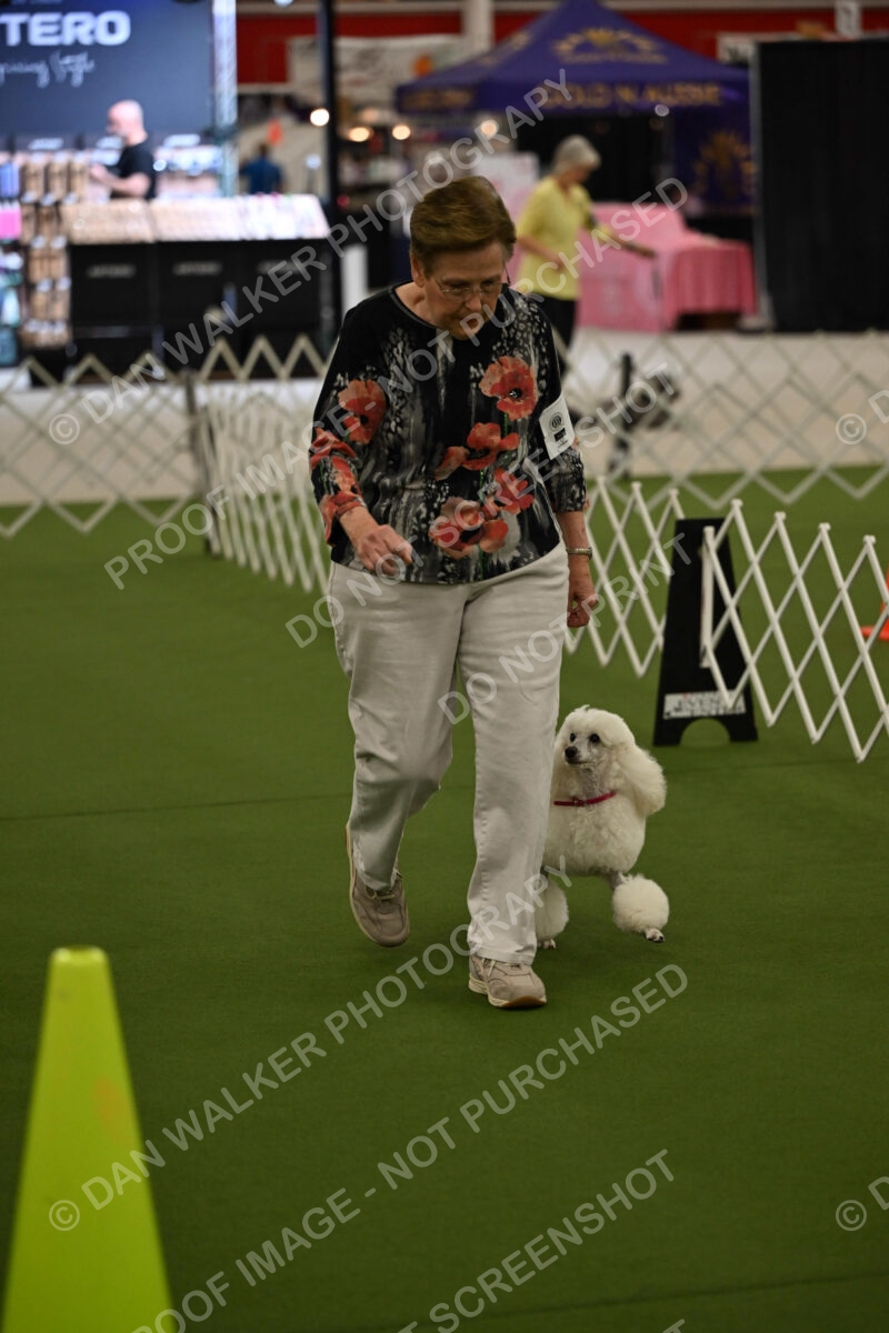Ring-3-Morning-Obedience_0142