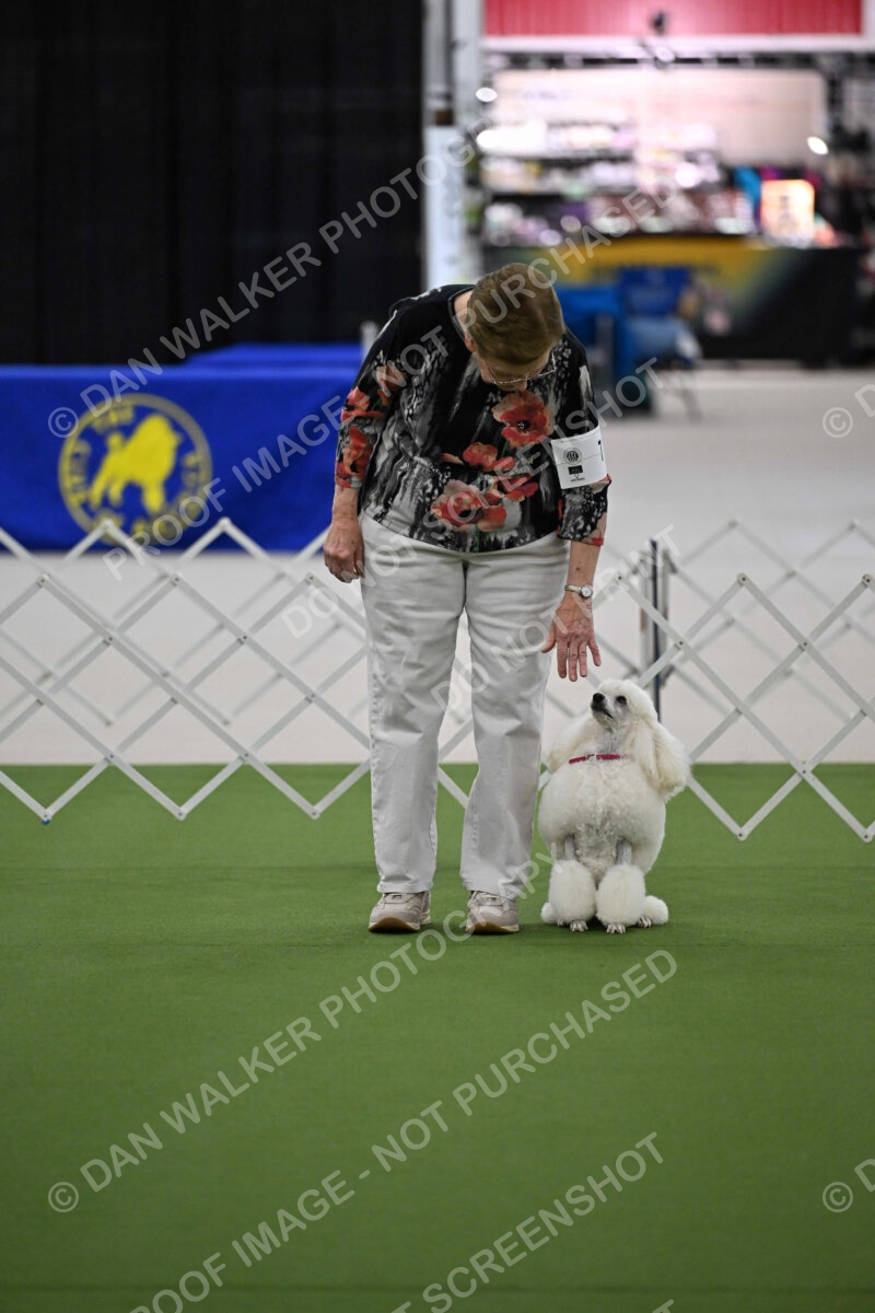 Ring-3-Morning-Obedience_0148
