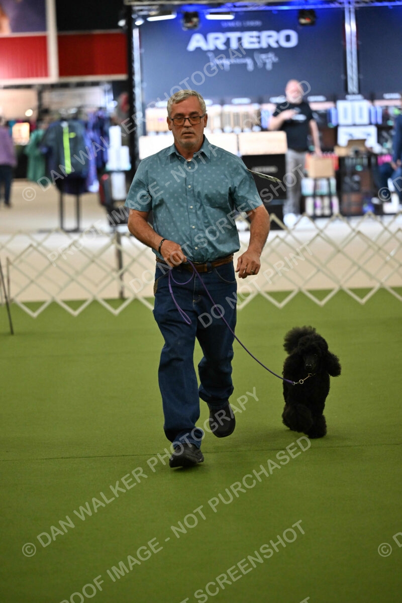 Ring-3-Morning-Obedience_0399
