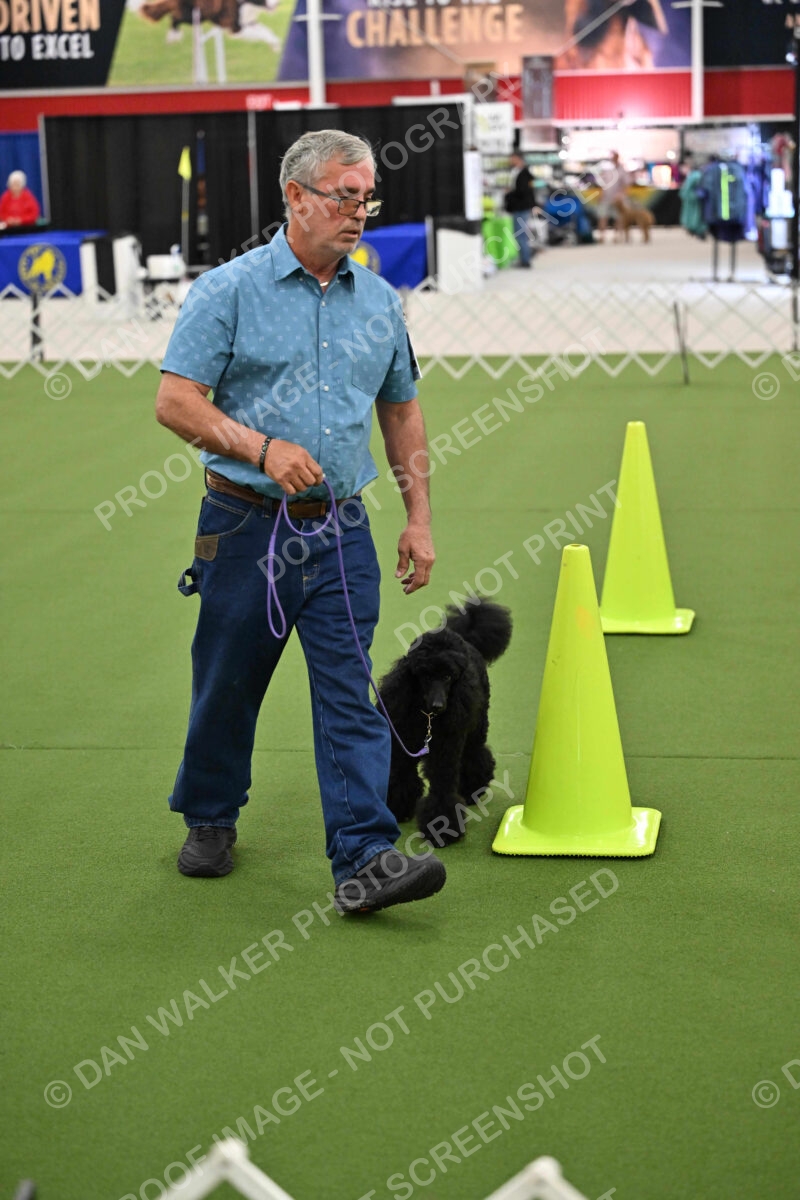 Ring-3-Morning-Obedience_0406
