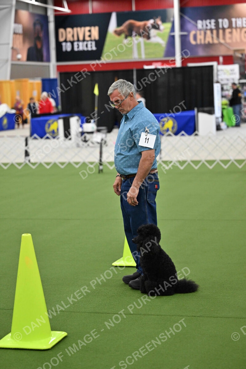 Ring-3-Morning-Obedience_0423