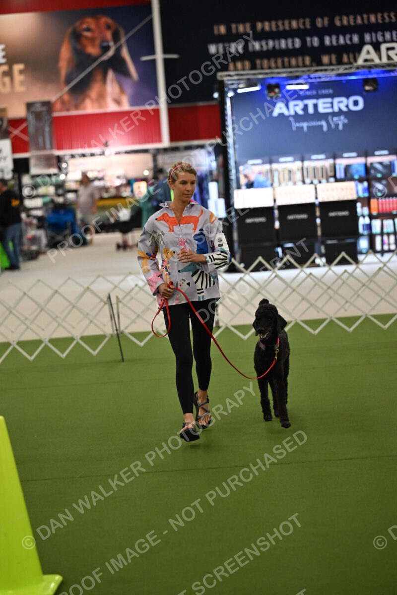 Ring-3-Morning-Obedience_0461