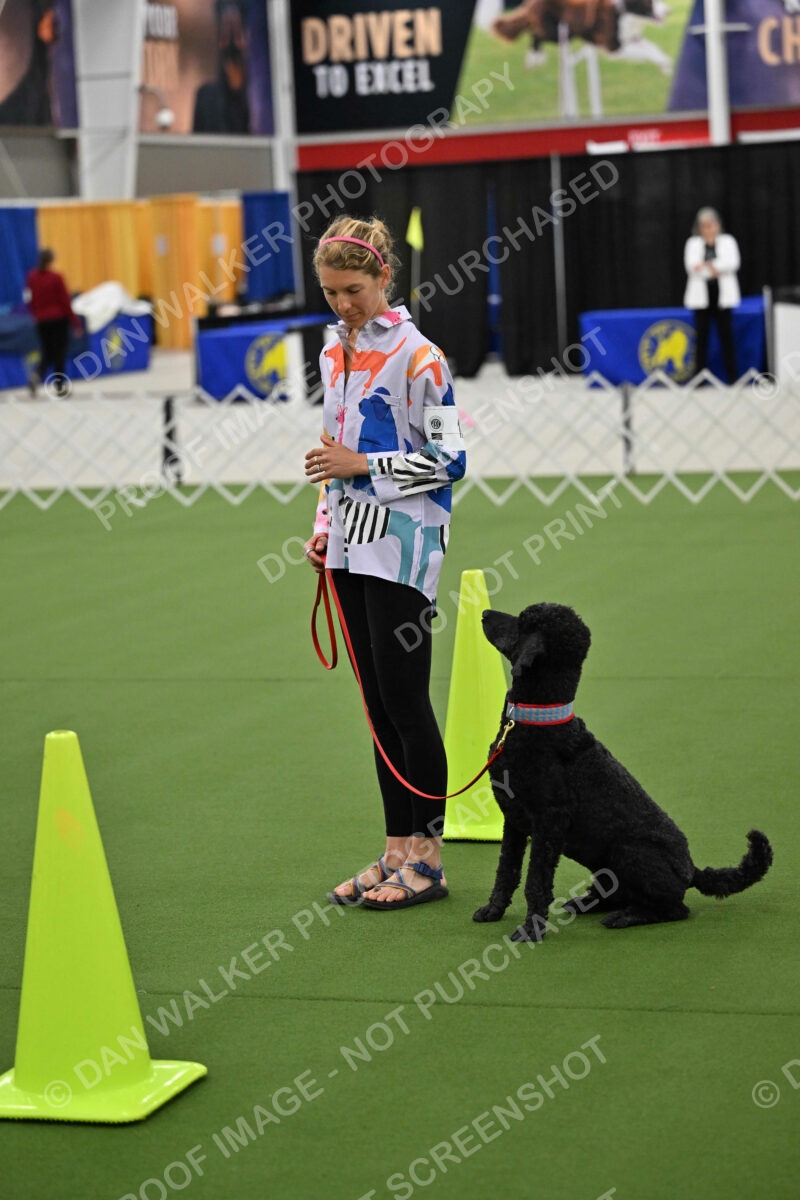Ring-3-Morning-Obedience_0504