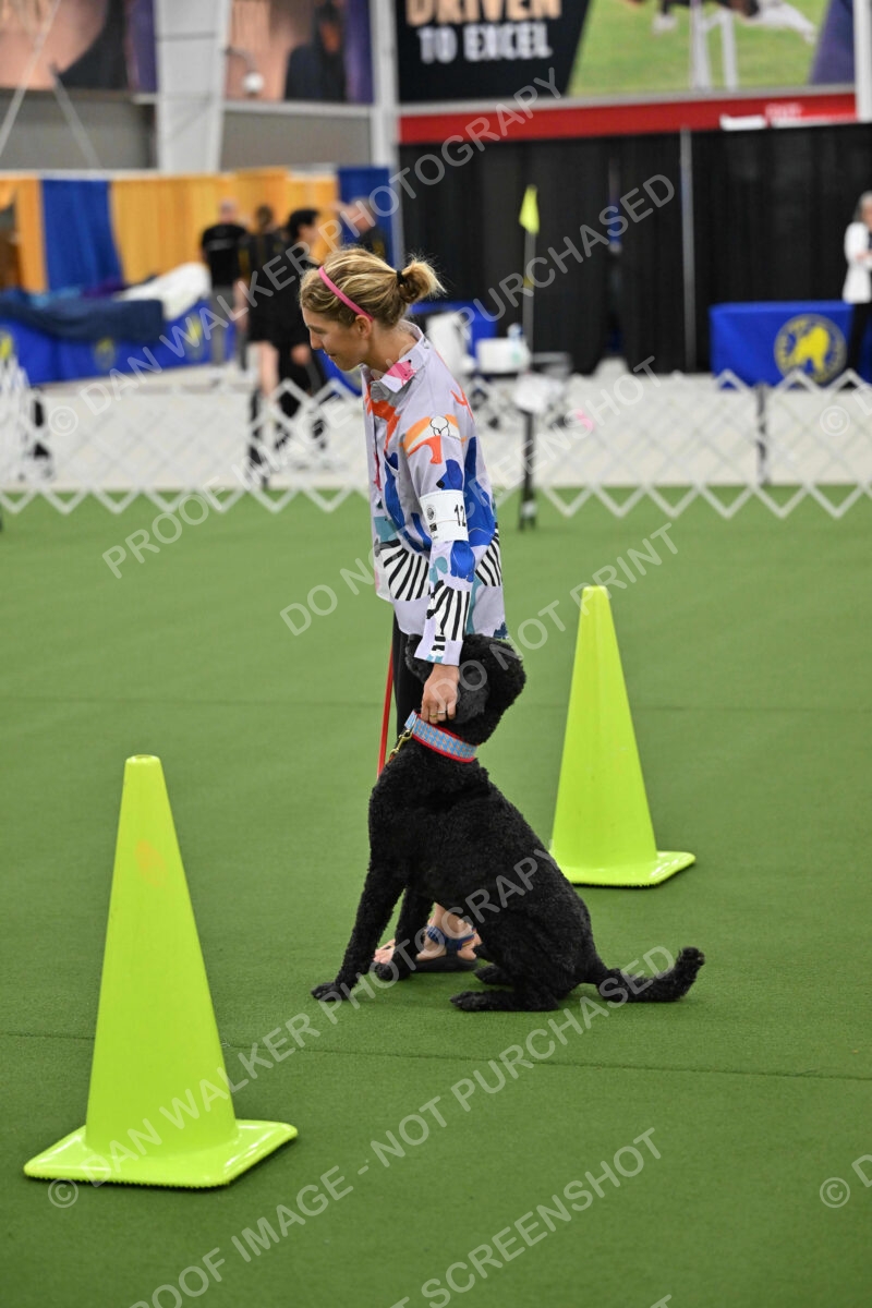 Ring-3-Morning-Obedience_0519