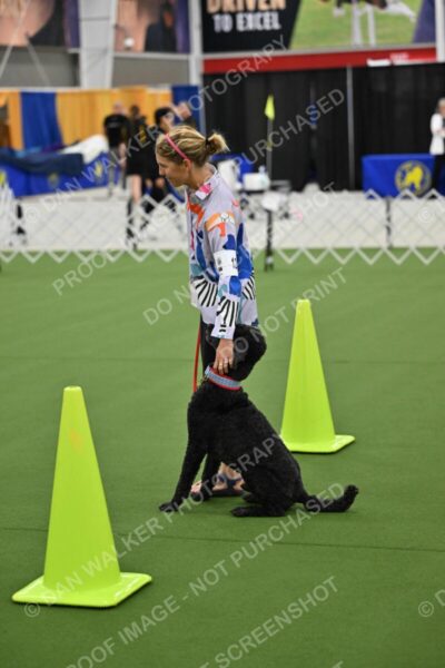 Ring-3-Morning-Obedience_0520