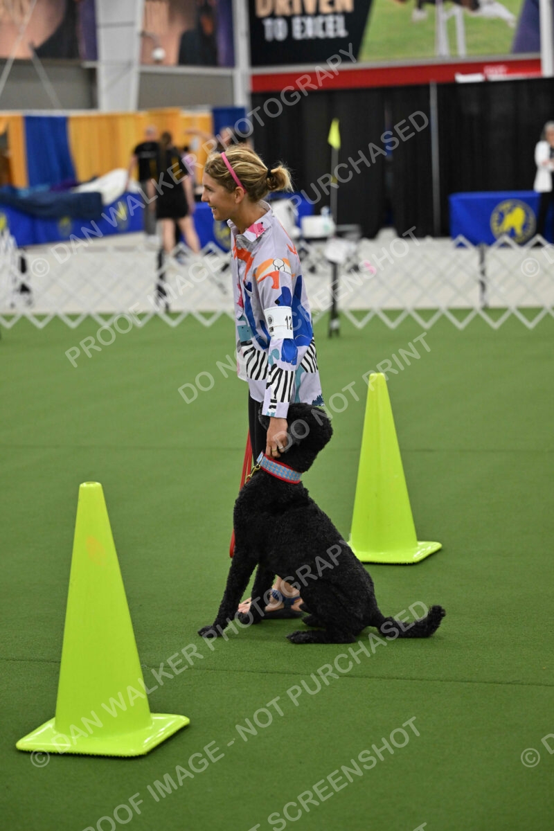 Ring-3-Morning-Obedience_0523