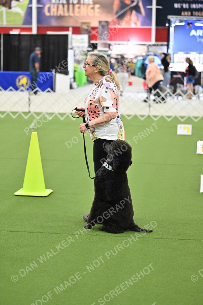 Ring-3-Morning-Obedience_1258