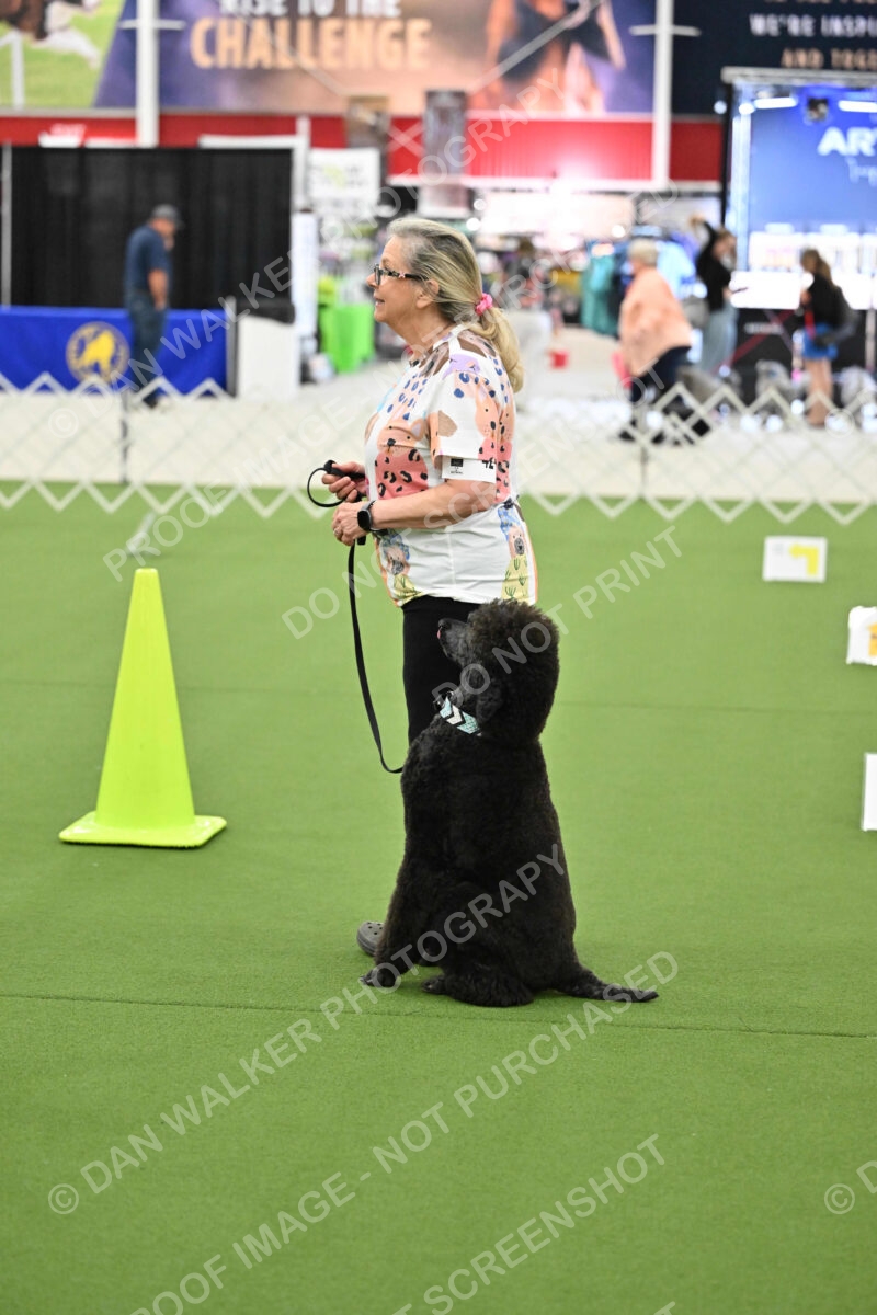 Ring-3-Morning-Obedience_1259