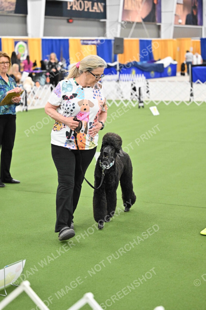 Ring-3-Morning-Obedience_1260