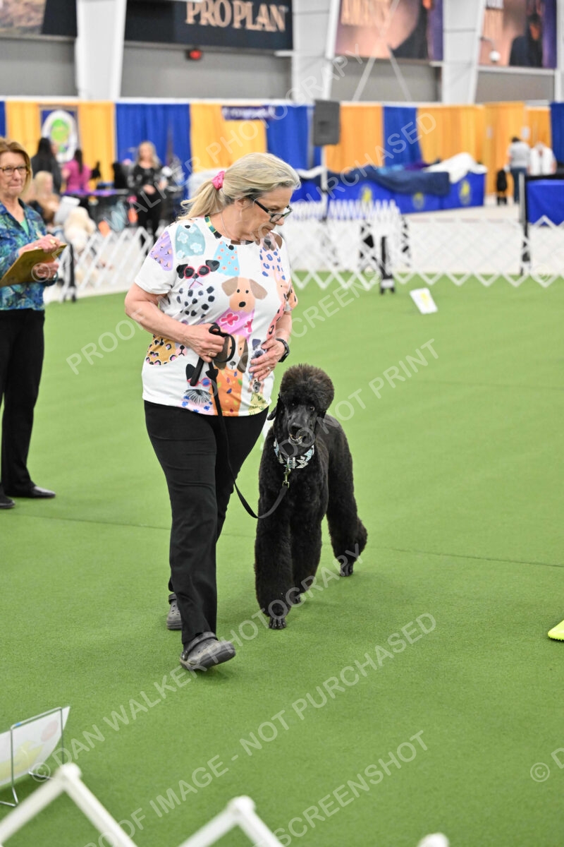 Ring-3-Morning-Obedience_1261