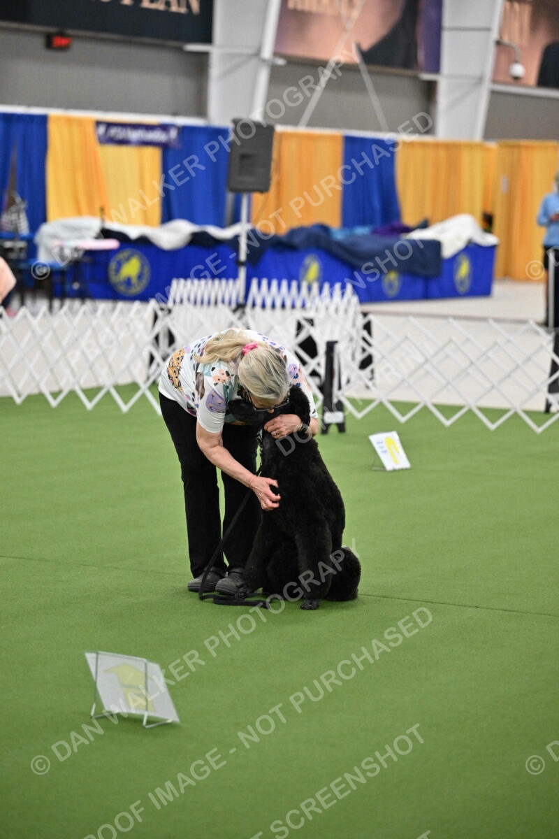 Ring-3-Morning-Obedience_1273