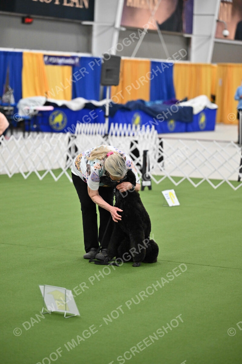 Ring-3-Morning-Obedience_1274