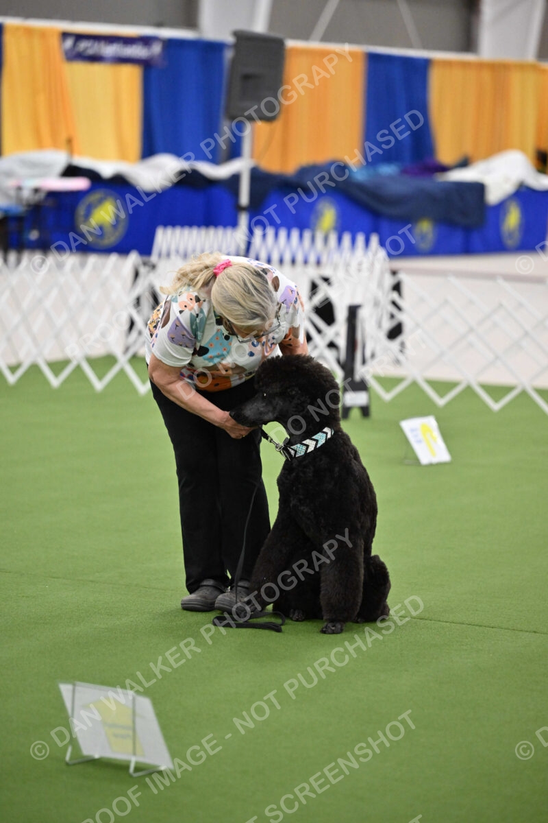 Ring-3-Morning-Obedience_1275