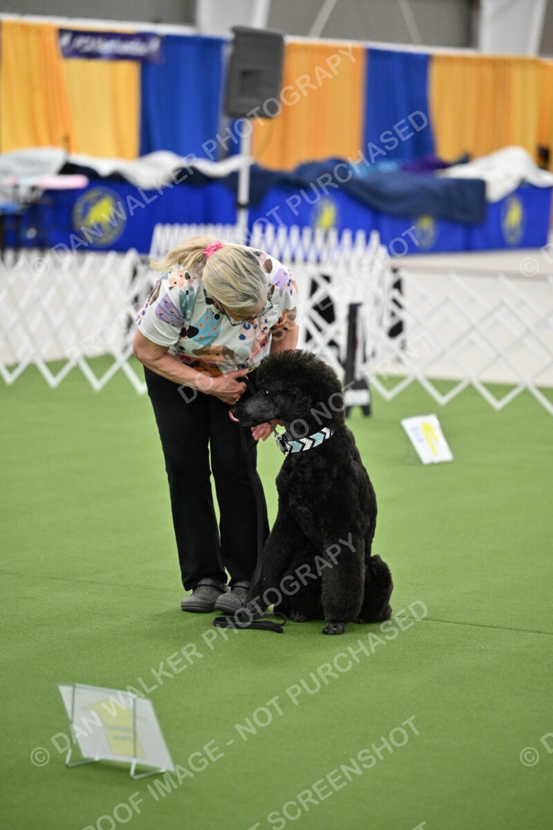 Ring-3-Morning-Obedience_1276