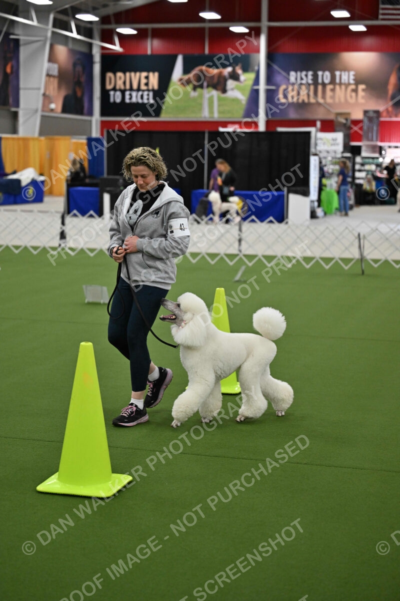 Ring-3-Morning-Obedience_1290
