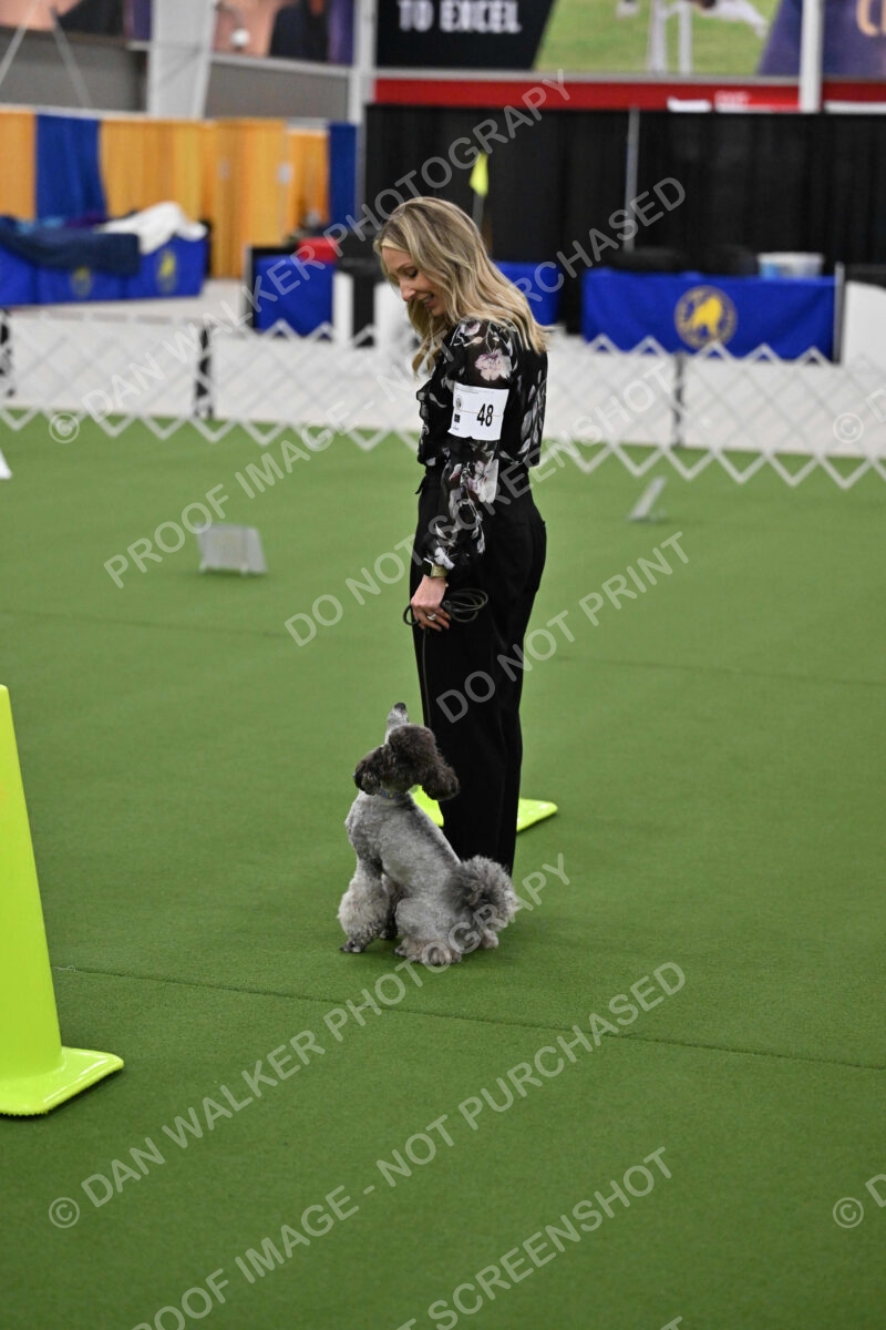 Ring-3-Morning-Obedience_1406