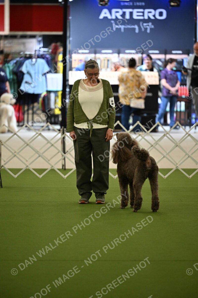 Ring-3-Morning-Obedience_1681