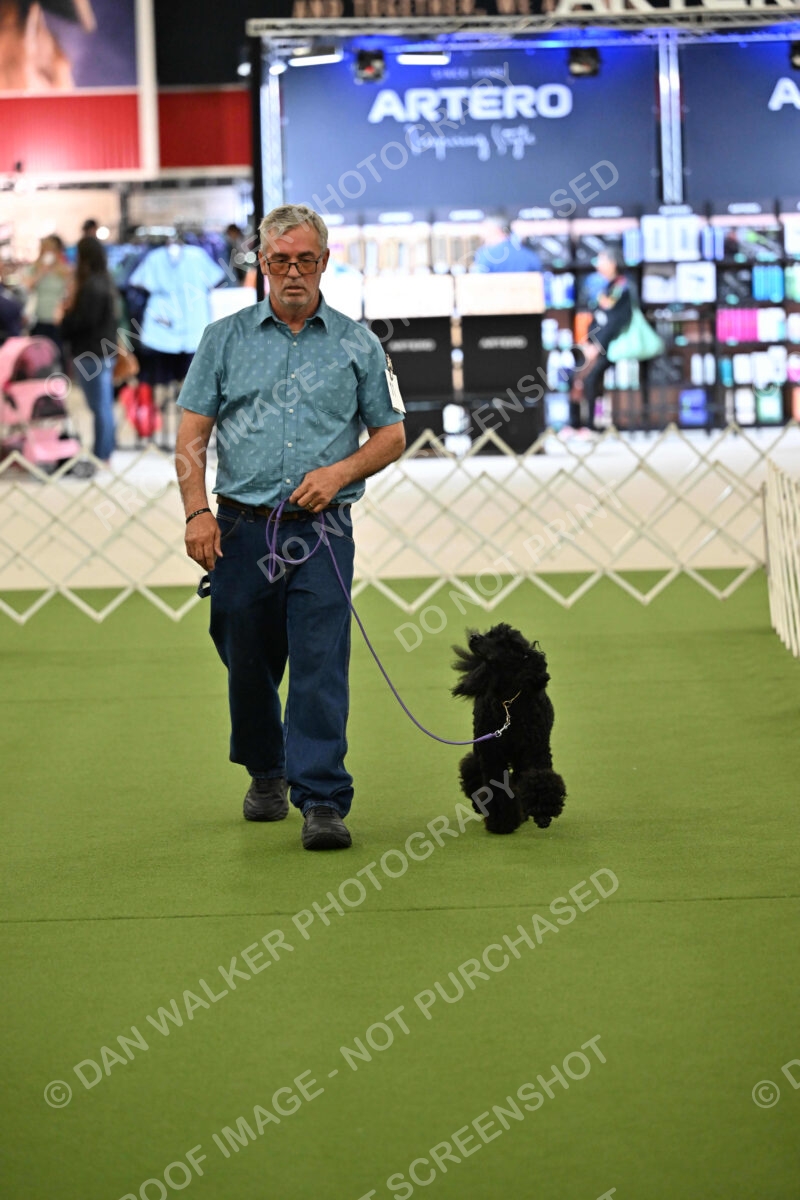 Ring-3-Morning-Obedience_1750
