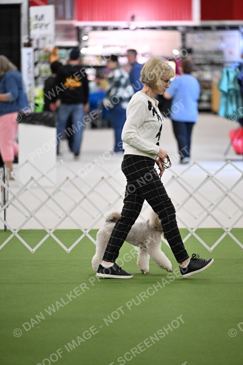 Ring-3-Morning-Obedience_1807