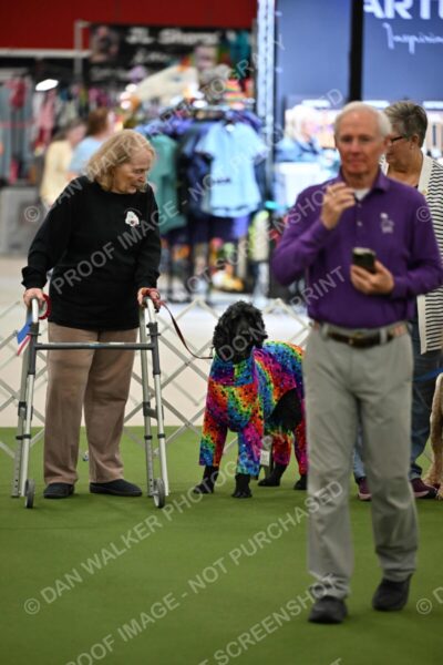 Parade-of-Rescues_2063