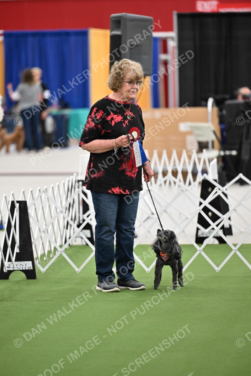 Parade-of-Rescues_2071
