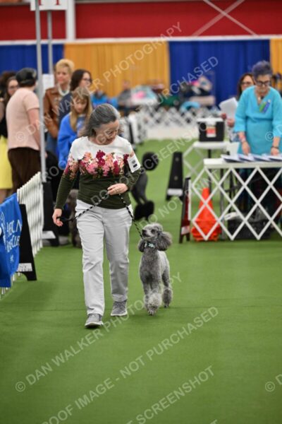 Parade-of-Titles_2677
